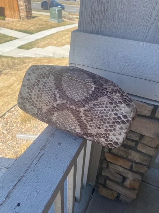 Coach bag - Picture 6 of 14